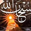 user7838508145778