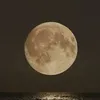 ulasmashar6
