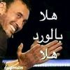 mahmoud33784