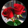naseer.ahmad8975