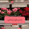 oum.mohamed9406