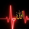 mir.ny