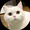 Petpalooza