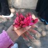 _roro_576