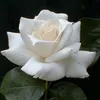 user8857147288177