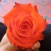 om.hamza5725