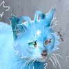 blue.cat100
