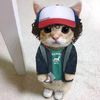 cuteningie