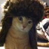 hamsterkriminal09