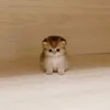 catintocart
