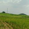 user5906530463580