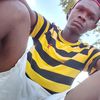 roy_tz7