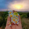 gwl_xanm21