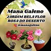 mana.galeno