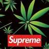 seedless42077