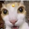 sofiiia_826