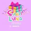 subli_luna26