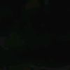 iwt_lnxp