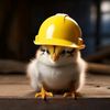 chicks437