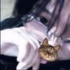 cha_chawwwp