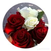 amer_4555
