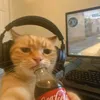 markgerv...12