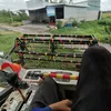 kh51449