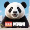 熊猫新闻