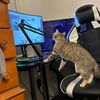 tomnstuff133
