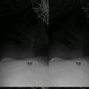 pim_1112556
