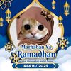 mandaa_537