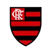 botafogoce