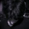 tanvir.tr01
