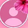 nunq8