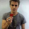 createdstefan
