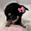 y_aeriz_n