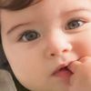 mony.albrasy