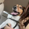 Jack_Chip