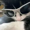 zy_xyv1