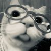 imnoturmom_4