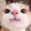 whoo_1202
