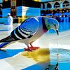 user6550613900293