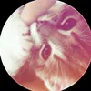 ngochangcutee039650