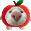 hanboong0