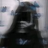 shely038