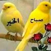 khlefaalk