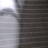 trubuntmg25