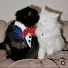 moonaadventure4