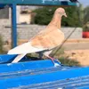 mosfdfaqwert3