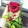 user1951560614227